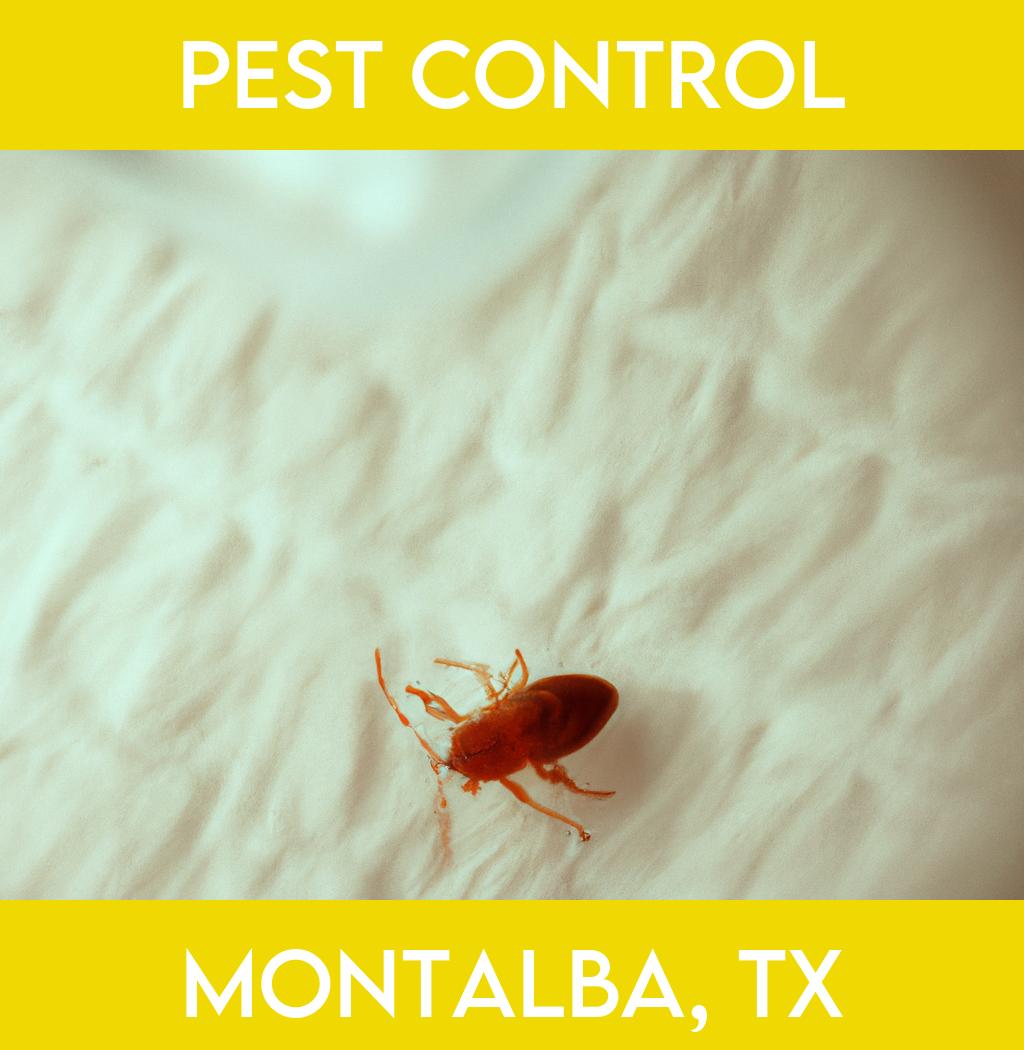 pest control in Montalba Texas