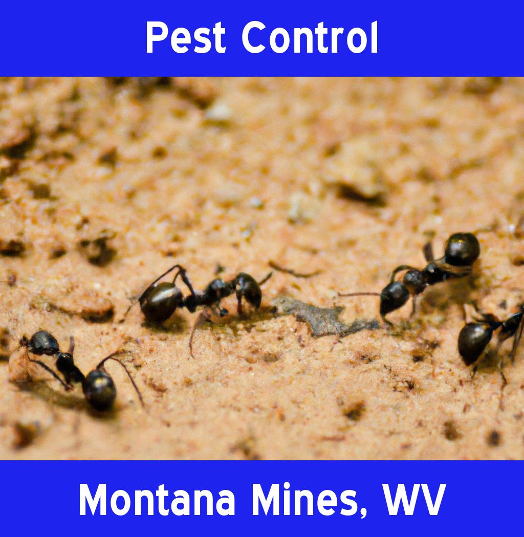pest control in Montana Mines West Virginia