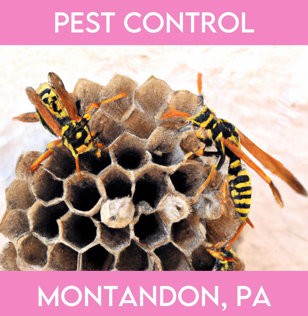 pest control in Montandon Pennsylvania