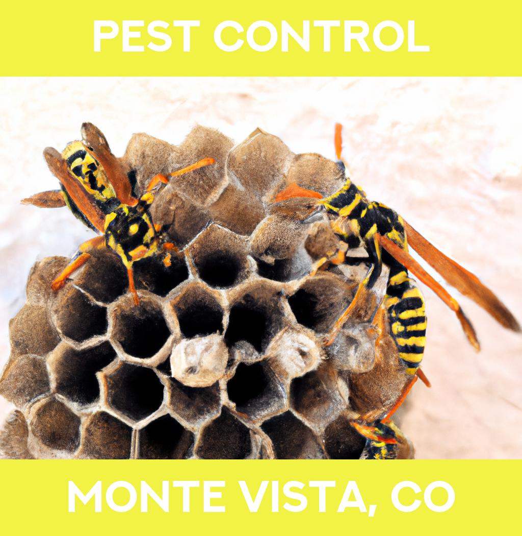 pest control in Monte Vista Colorado