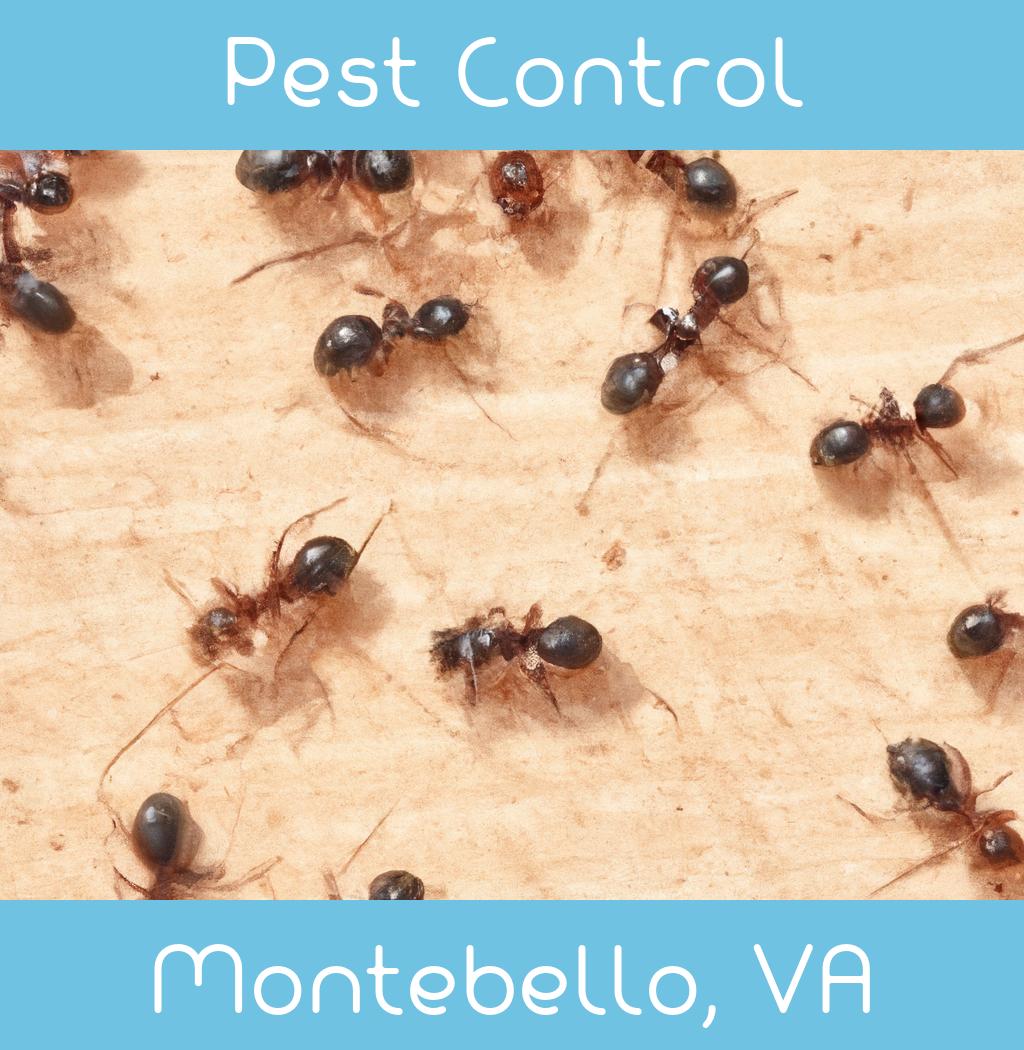 pest control in Montebello Virginia