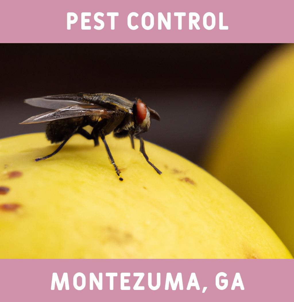pest control in Montezuma Georgia