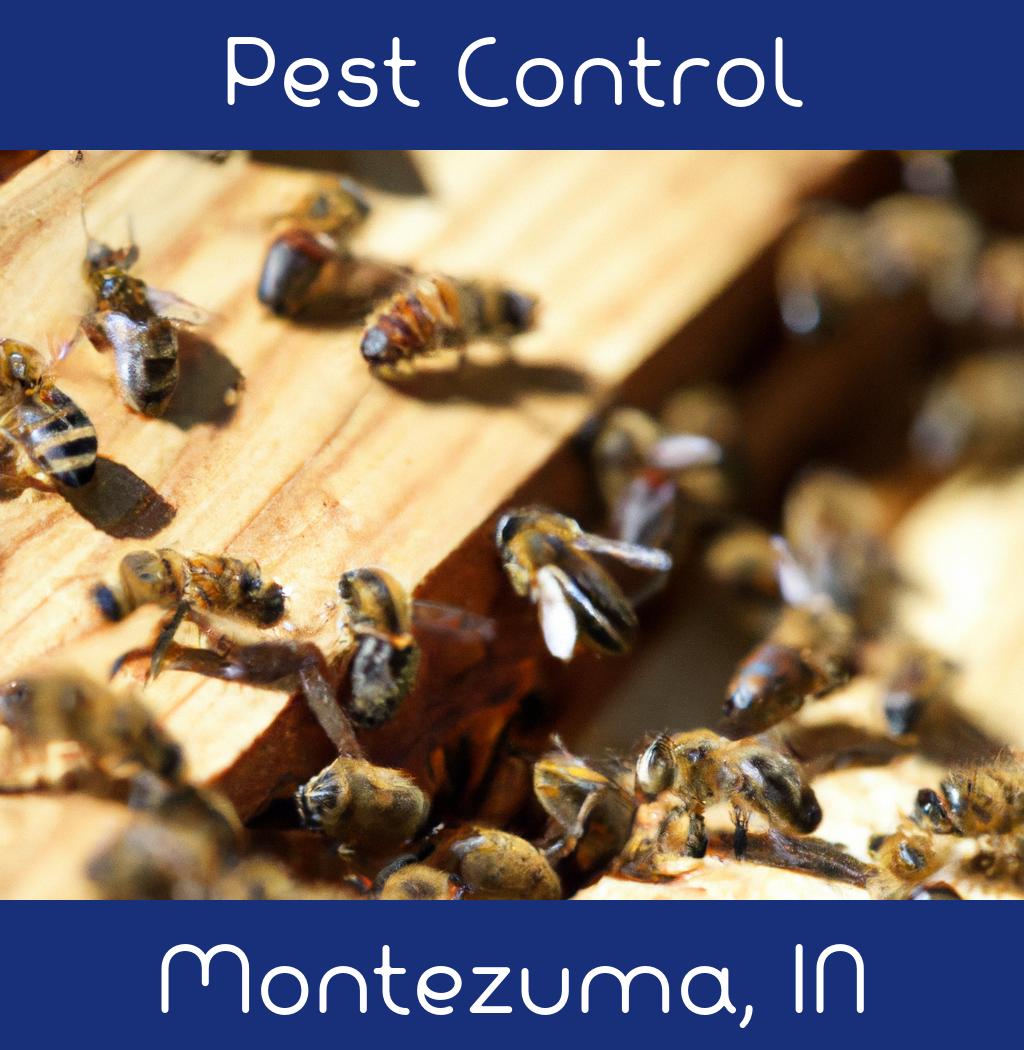 pest control in Montezuma Indiana