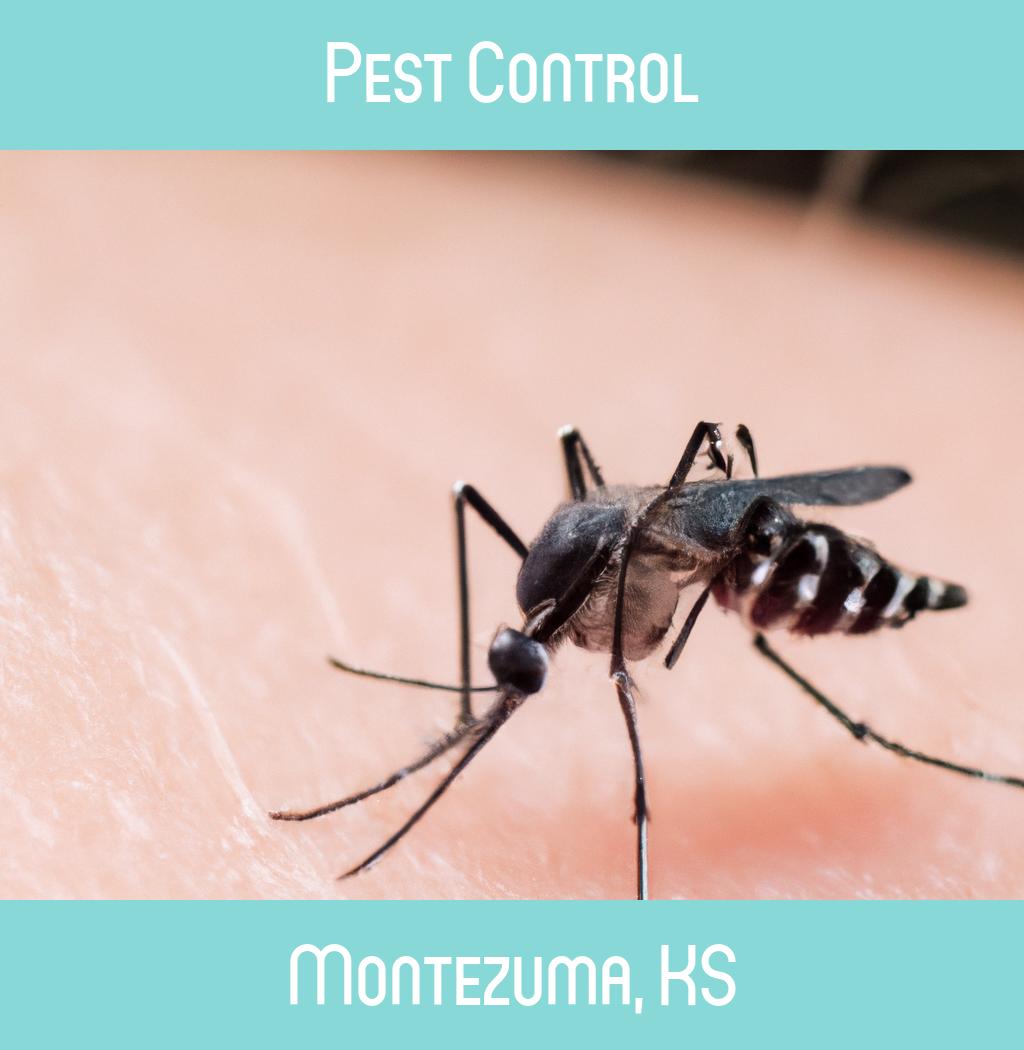 pest control in Montezuma Kansas