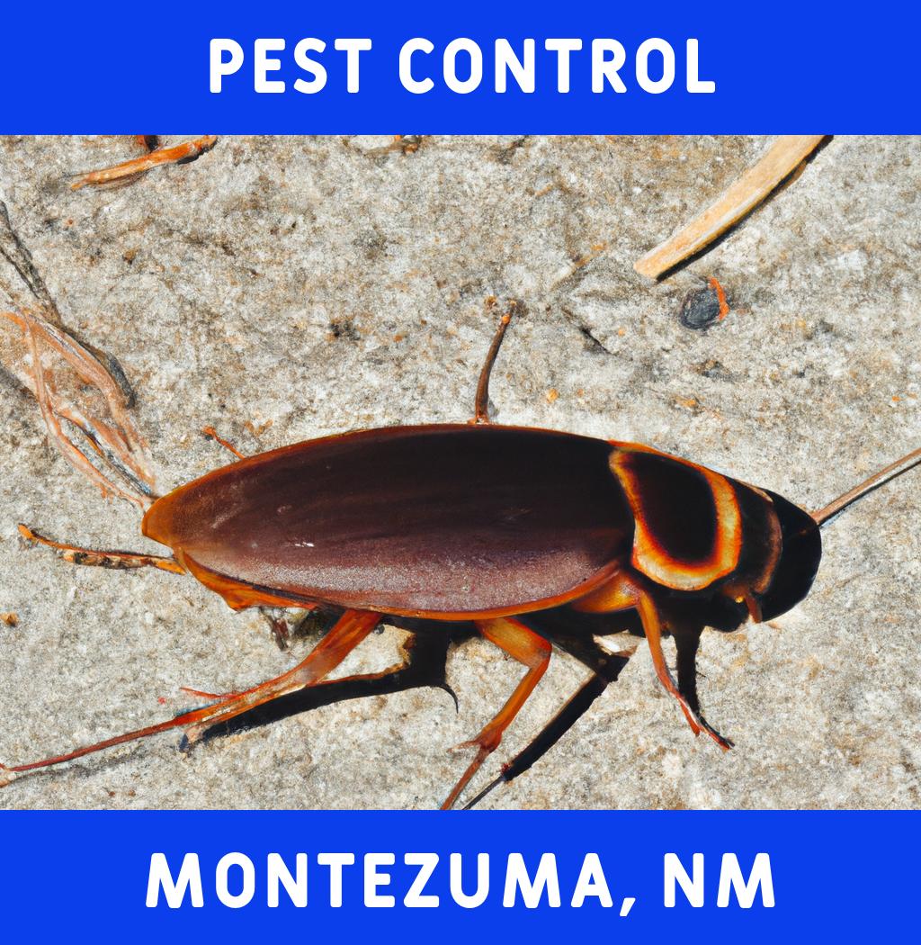 pest control in Montezuma New Mexico