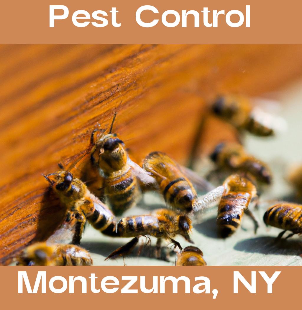 pest control in Montezuma New York