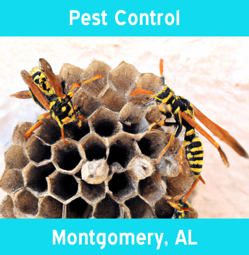 pest control in Montgomery Alabama