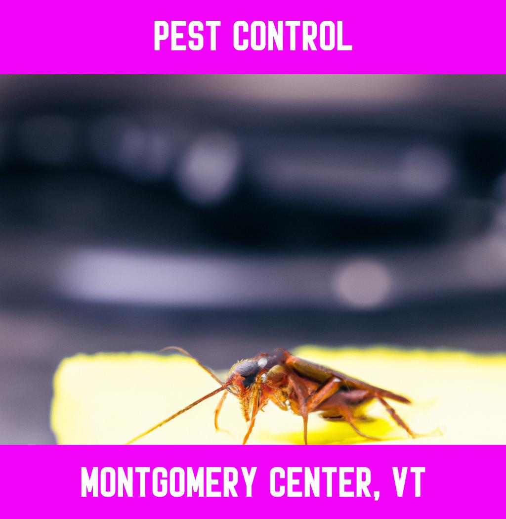 pest control in Montgomery Center Vermont