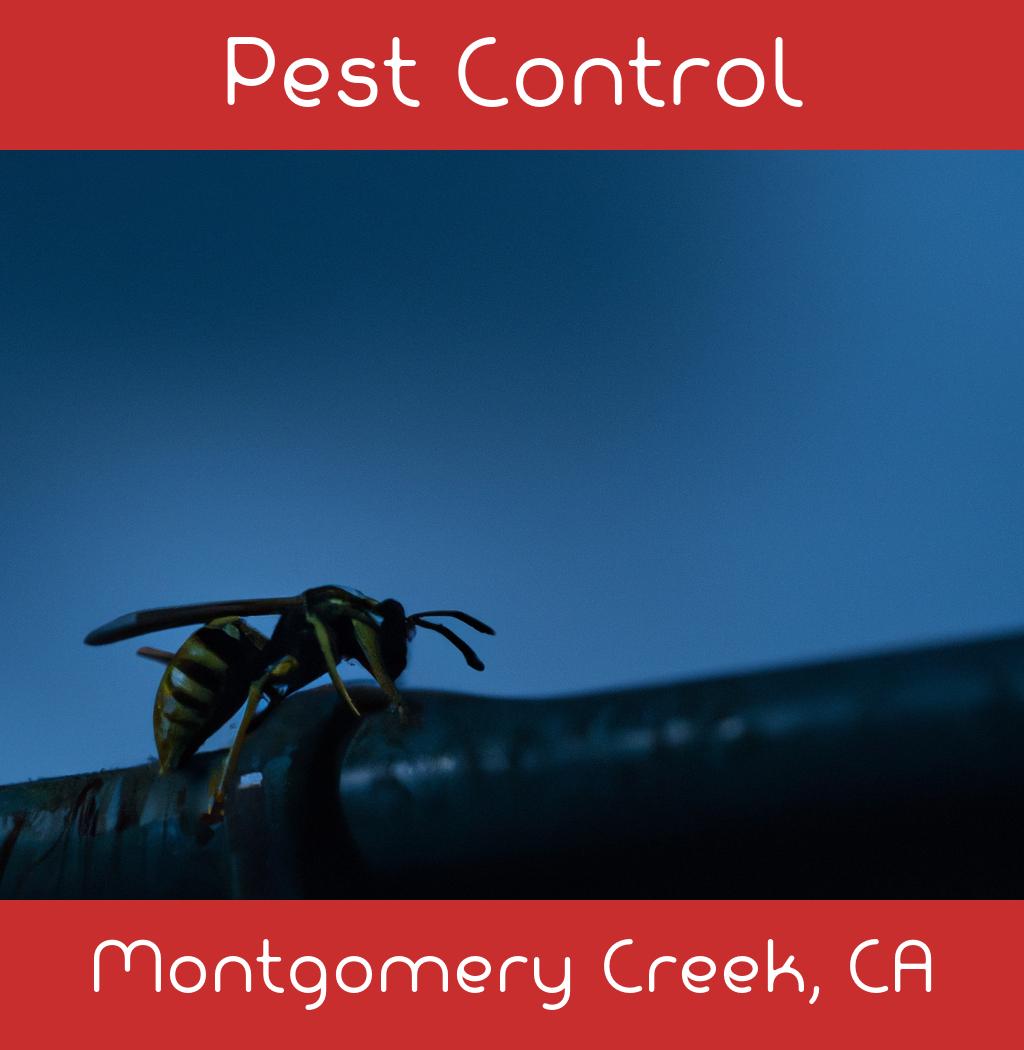 pest control in Montgomery Creek California
