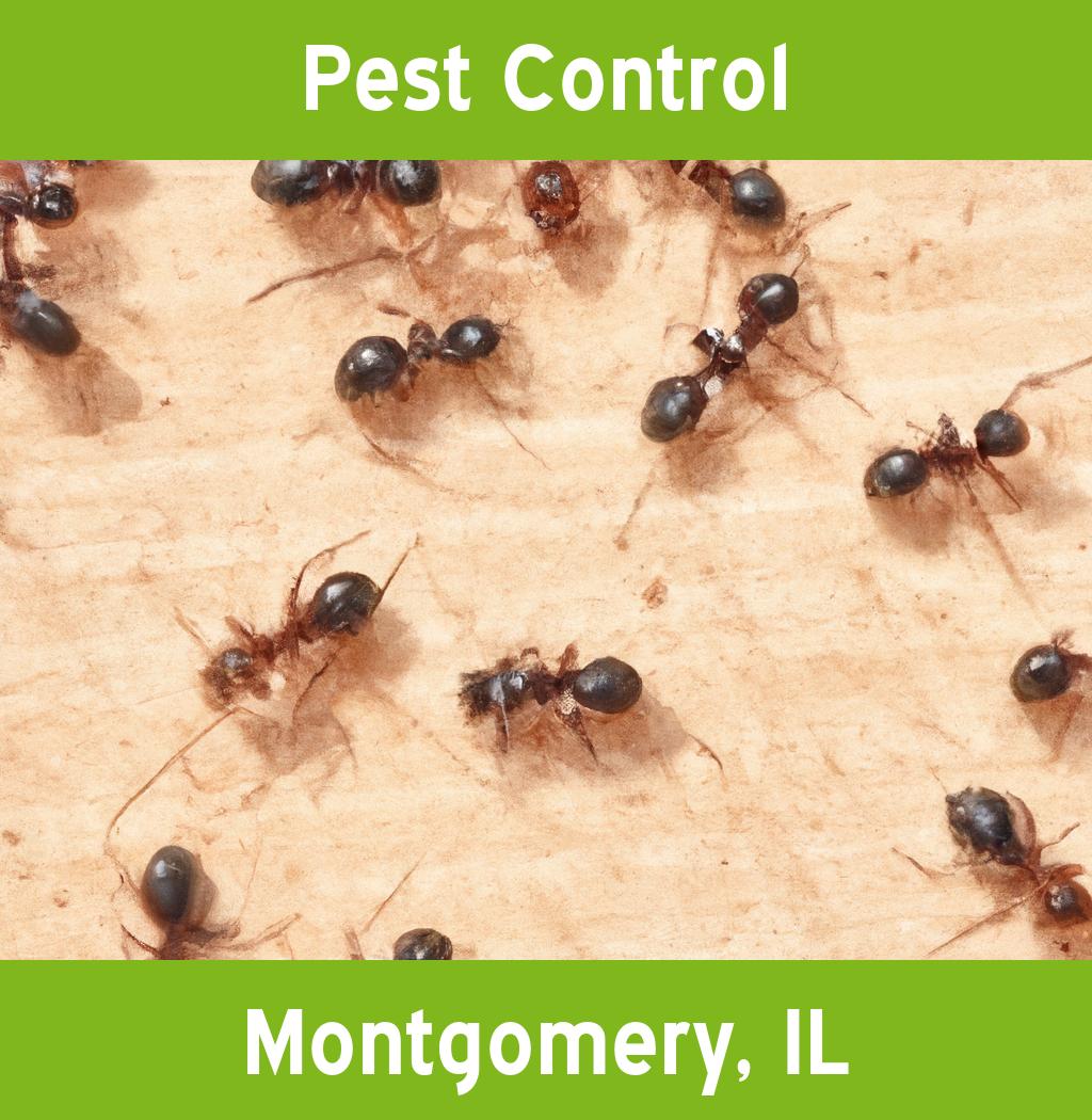pest control in Montgomery Illinois