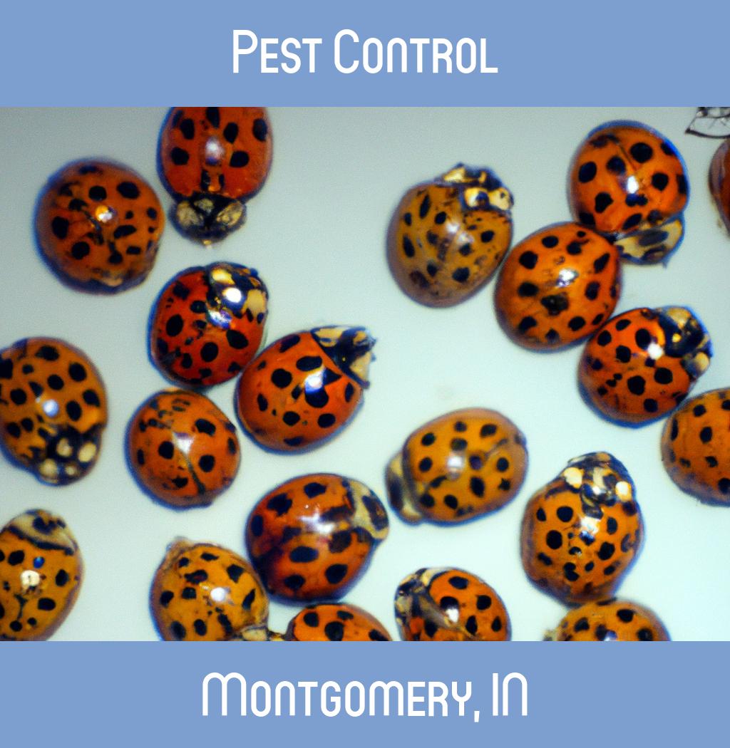 pest control in Montgomery Indiana