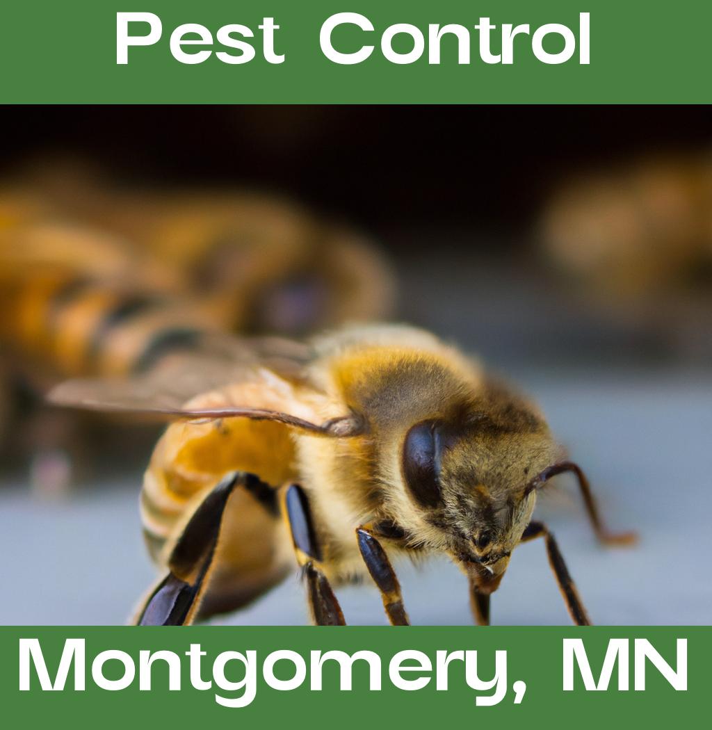 pest control in Montgomery Minnesota