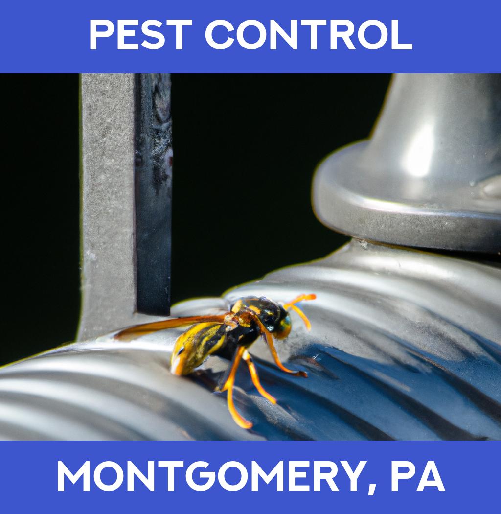 pest control in Montgomery Pennsylvania