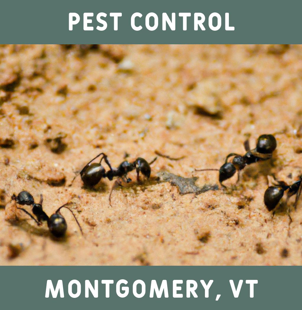 pest control in Montgomery Vermont