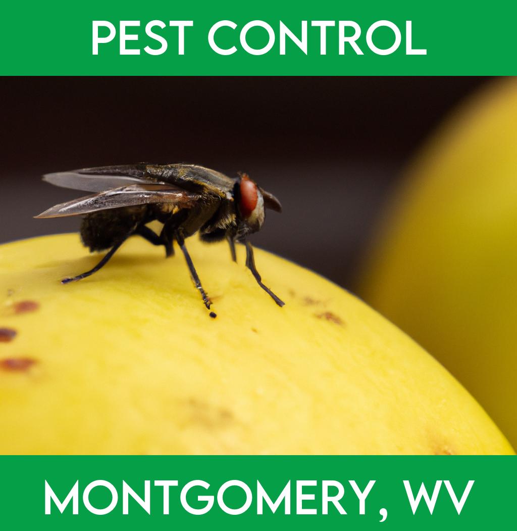 pest control in Montgomery West Virginia