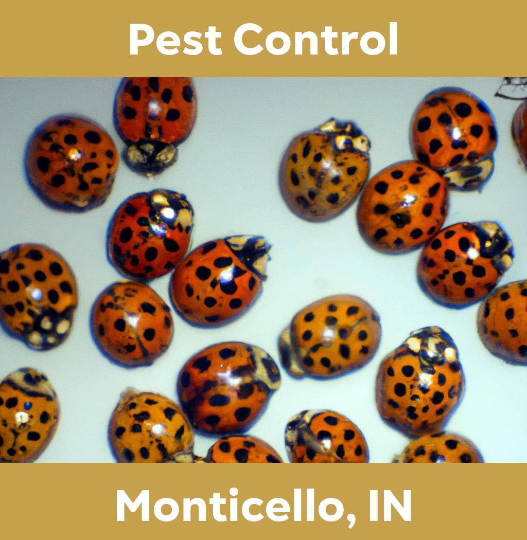 pest control in Monticello Indiana