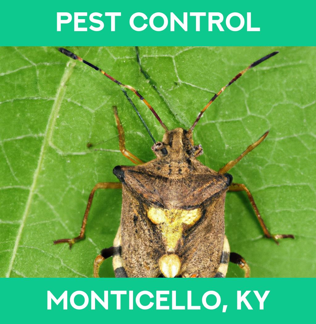 pest control in Monticello Kentucky