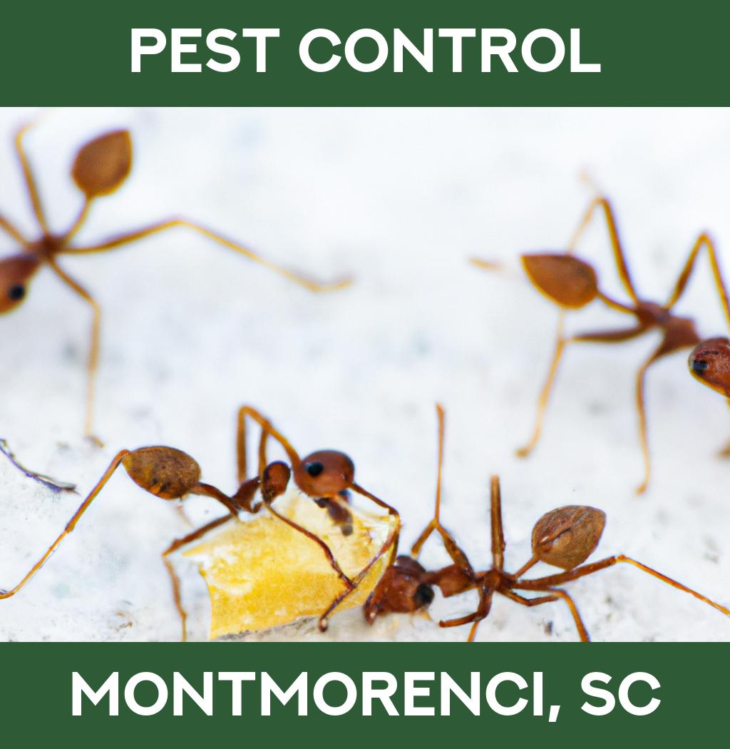 pest control in Montmorenci South Carolina