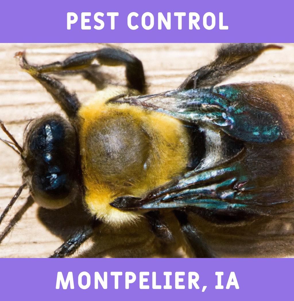pest control in Montpelier Iowa