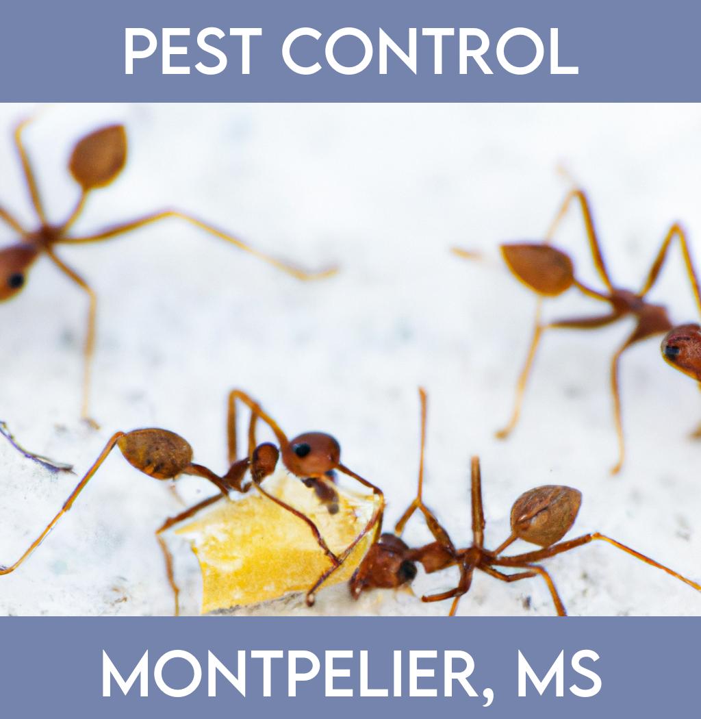 pest control in Montpelier Mississippi