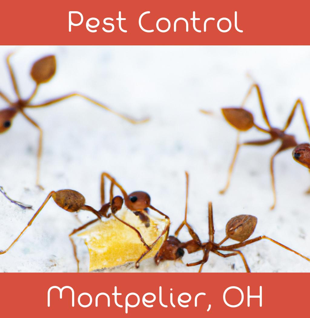 pest control in Montpelier Ohio