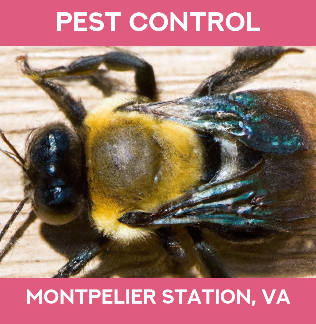 pest control in Montpelier Station Virginia