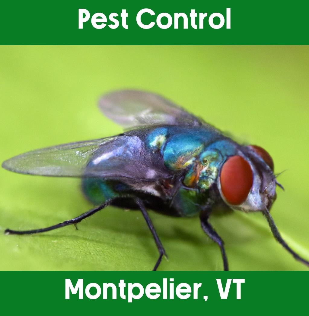pest control in Montpelier Vermont