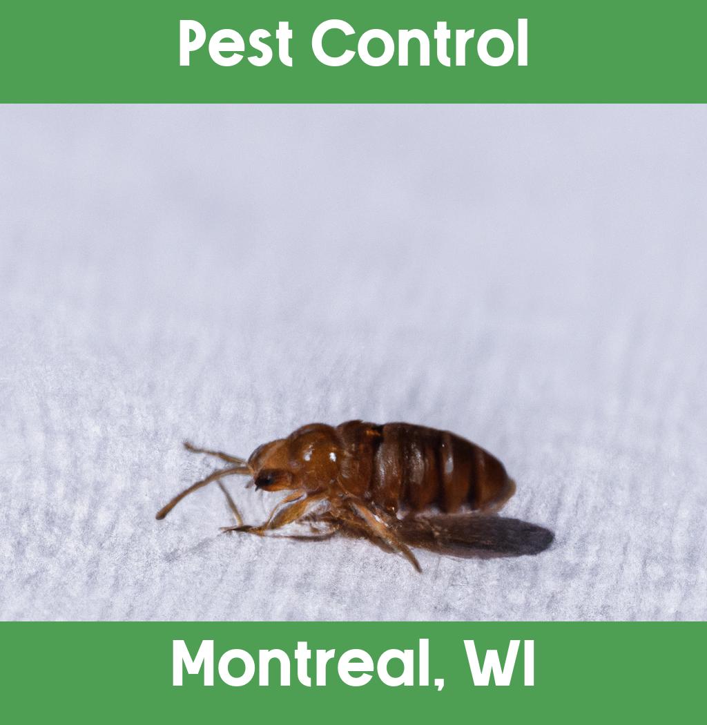 pest control in Montreal Wisconsin