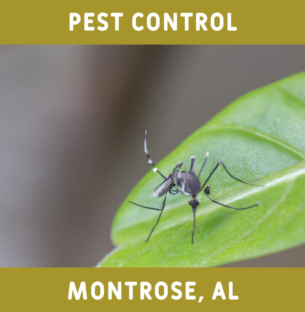 pest control in Montrose Alabama