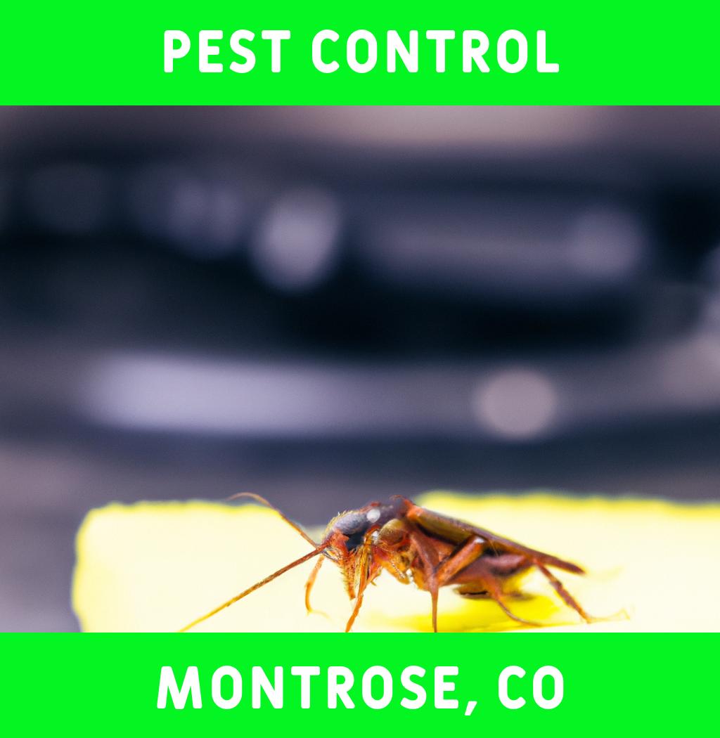 pest control in Montrose Colorado