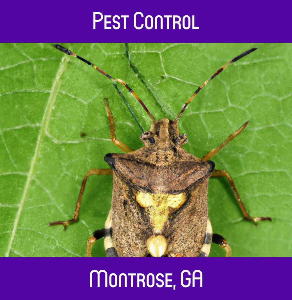 pest control in Montrose Georgia