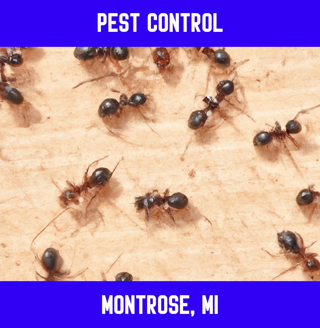 pest control in Montrose Michigan
