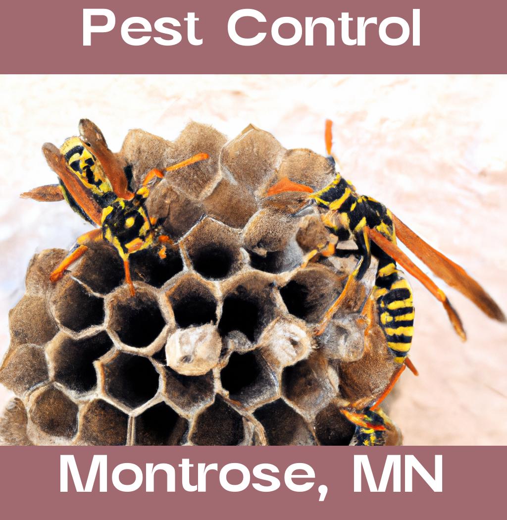 pest control in Montrose Minnesota