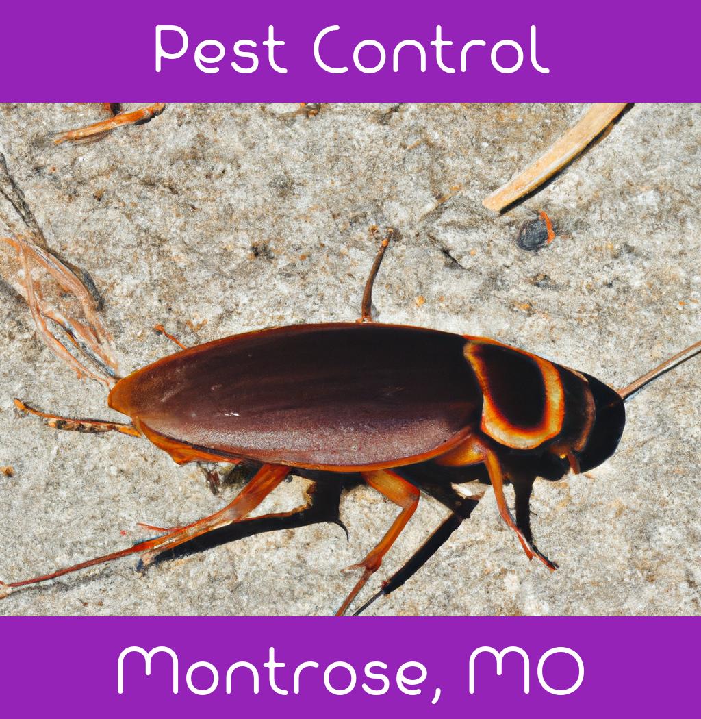 pest control in Montrose Missouri