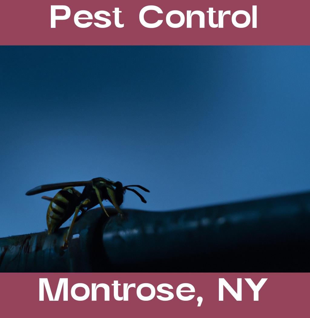 pest control in Montrose New York