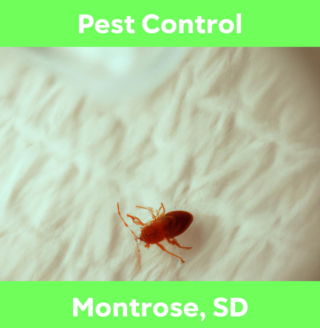 pest control in Montrose South Dakota