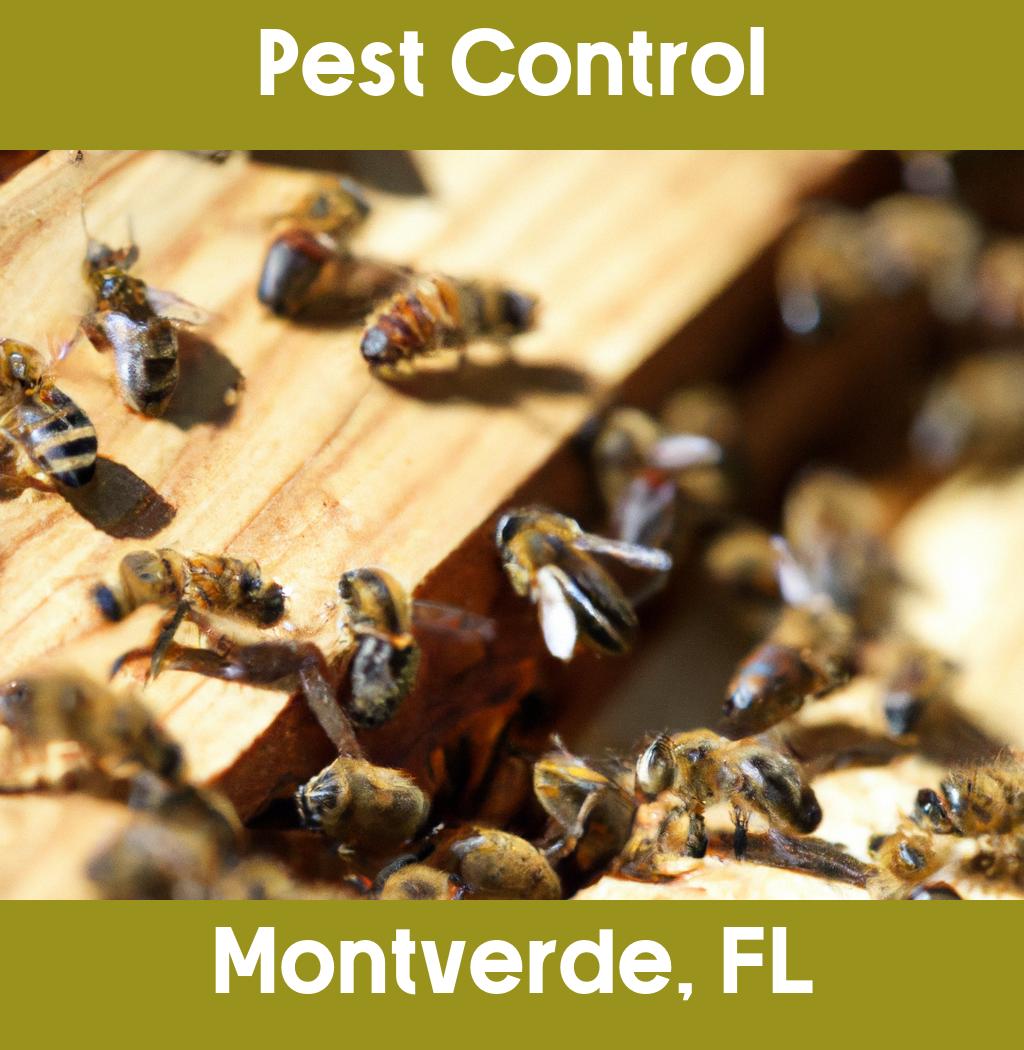 pest control in Montverde Florida