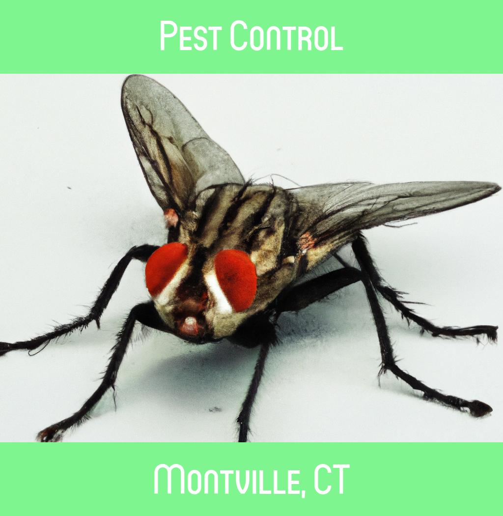 pest control in Montville Connecticut