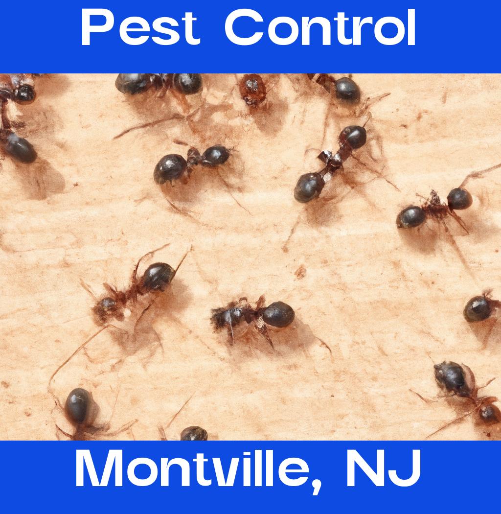 pest control in Montville New Jersey