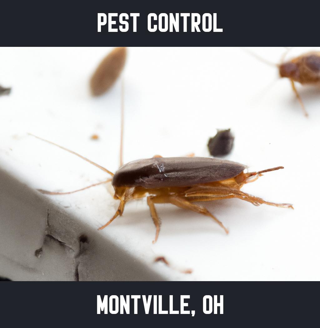 pest control in Montville Ohio