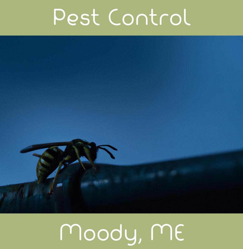 pest control in Moody Maine