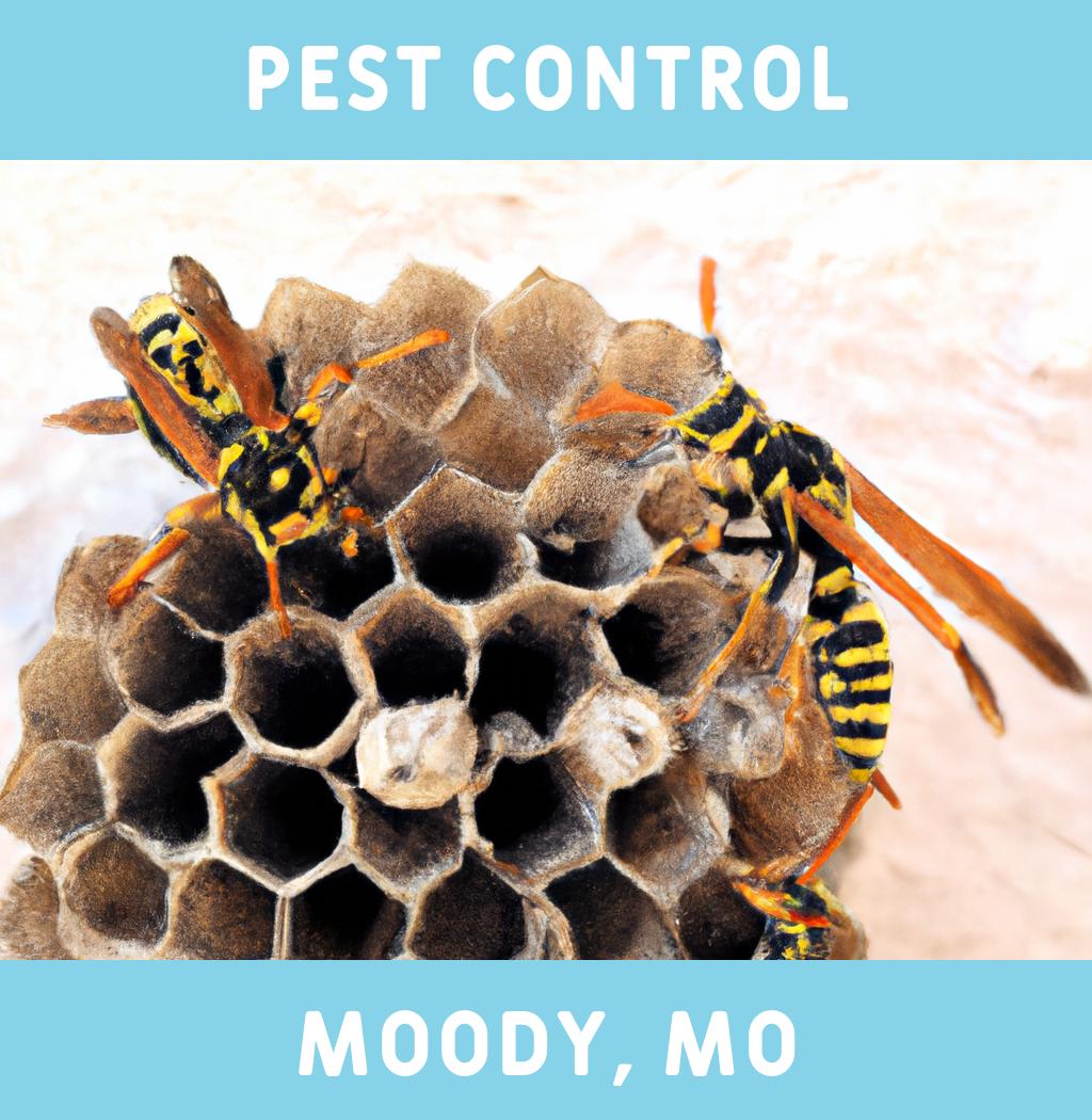 pest control in Moody Missouri