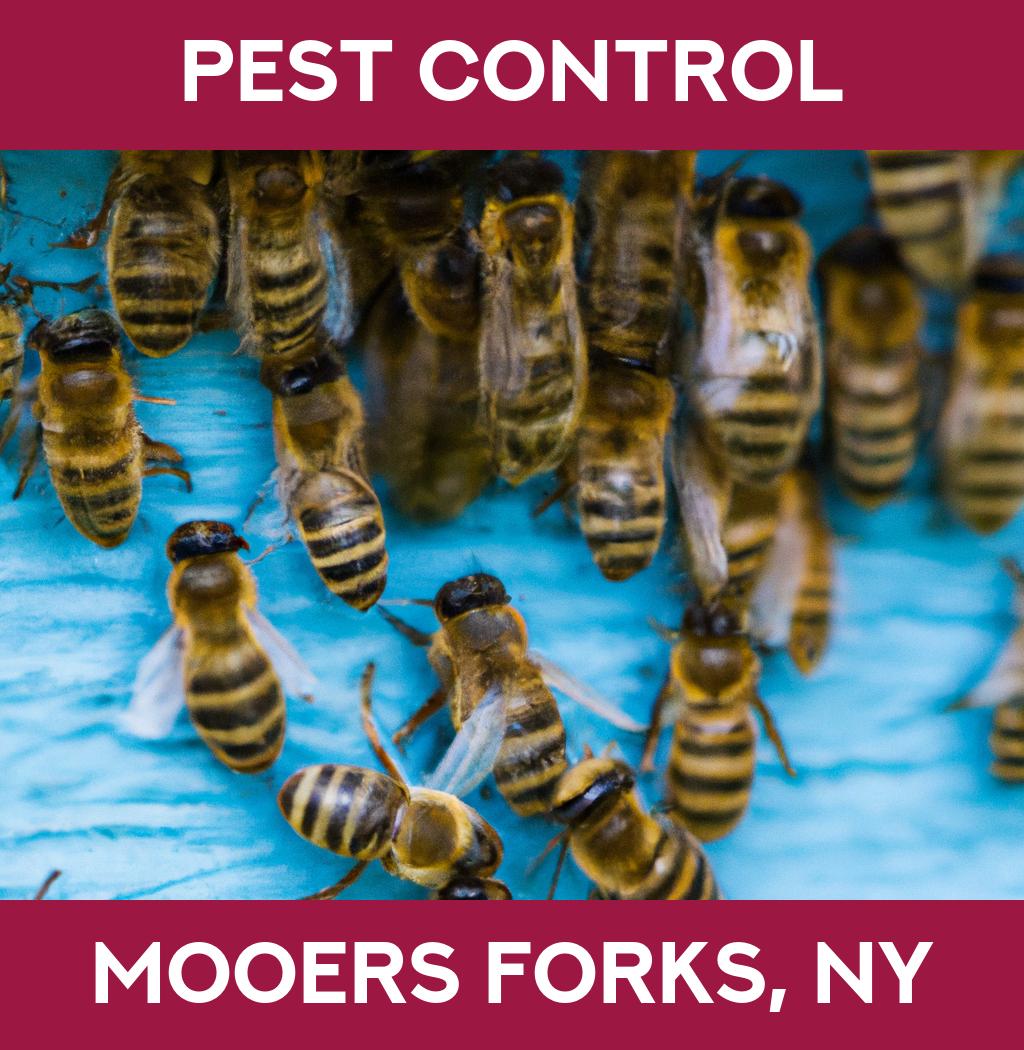pest control in Mooers Forks New York