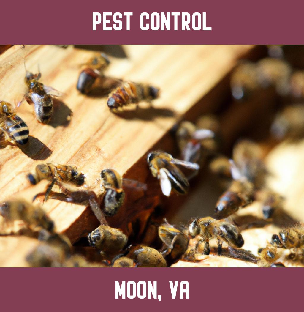 pest control in Moon Virginia