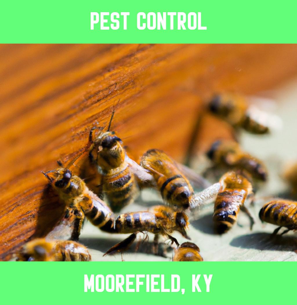 pest control in Moorefield Kentucky