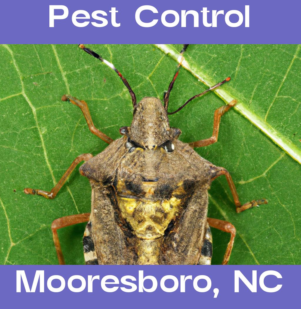 pest control in Mooresboro North Carolina