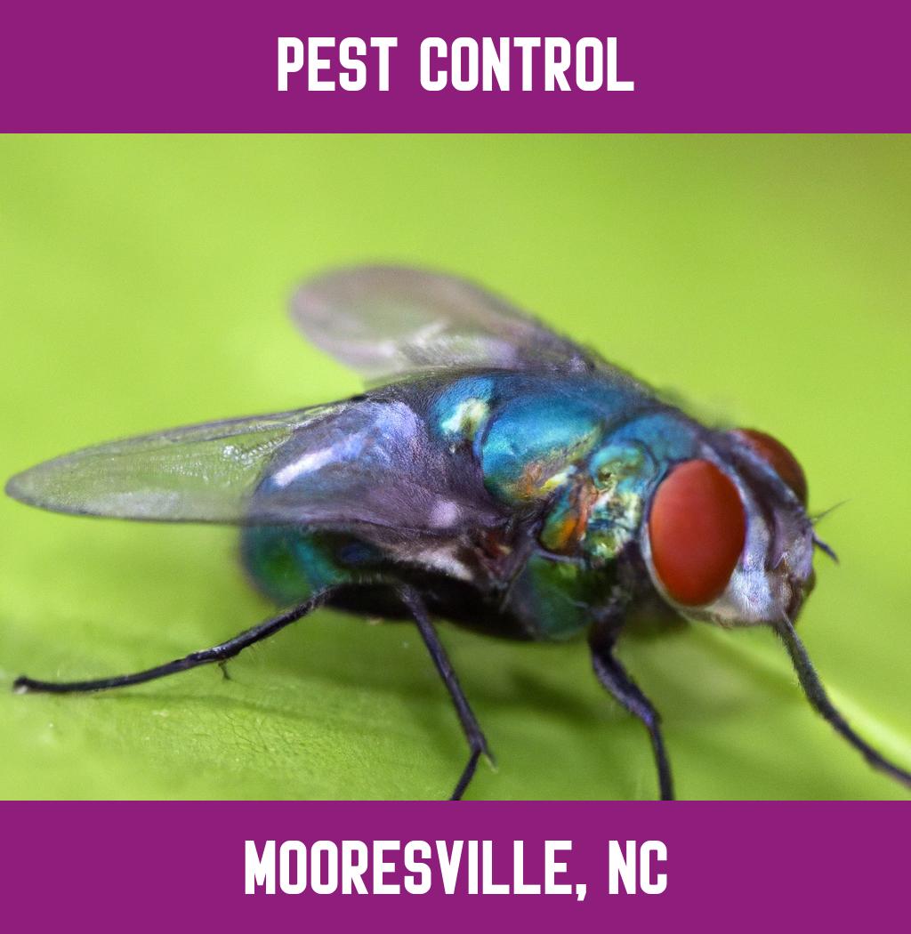 pest control in Mooresville North Carolina