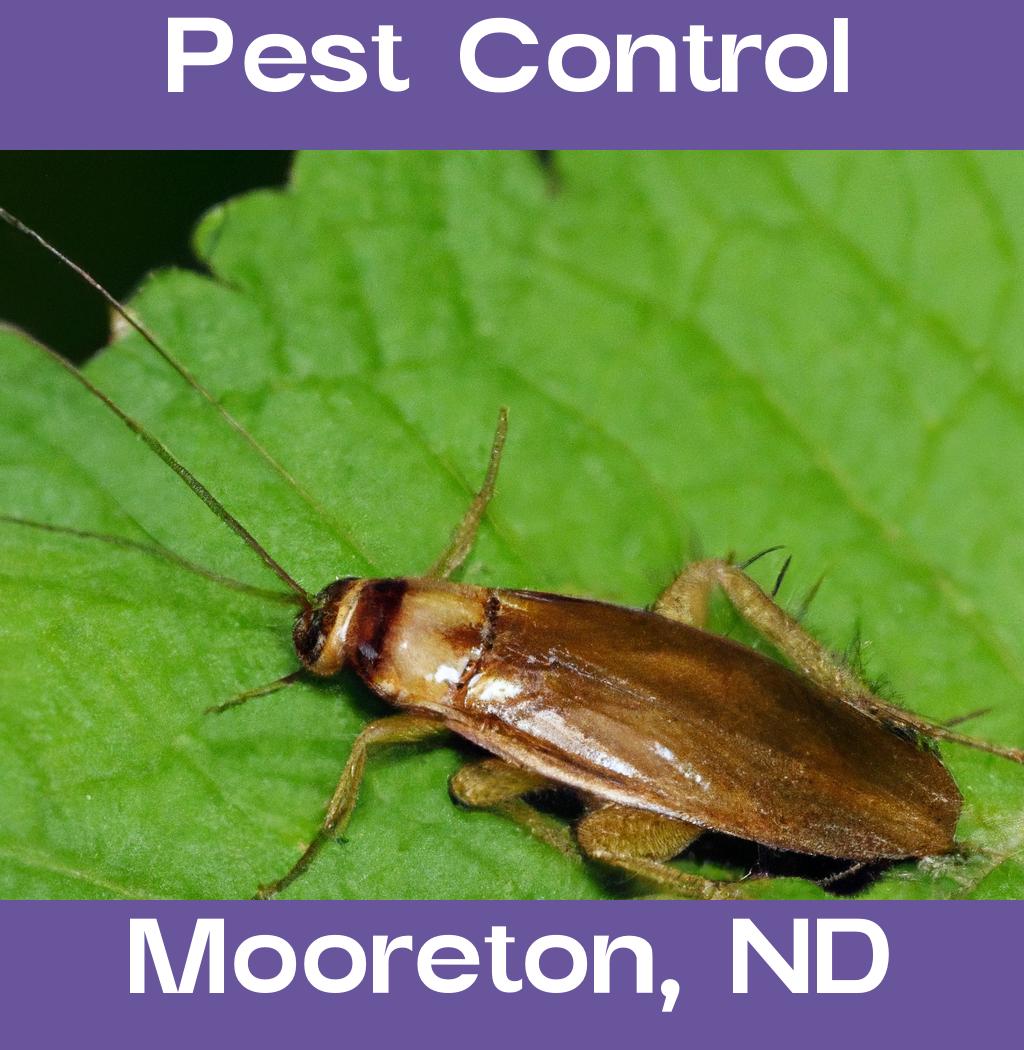 pest control in Mooreton North Dakota