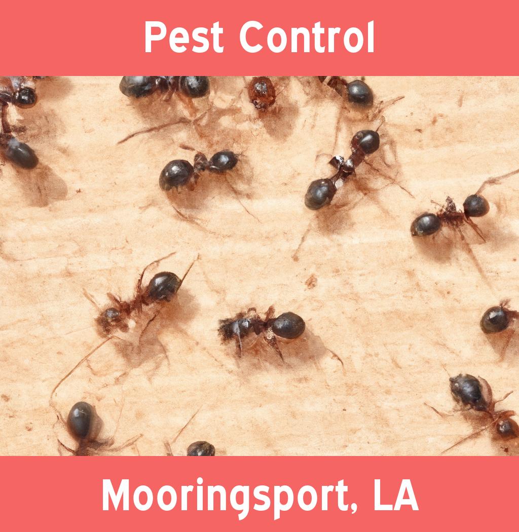 pest control in Mooringsport Louisiana