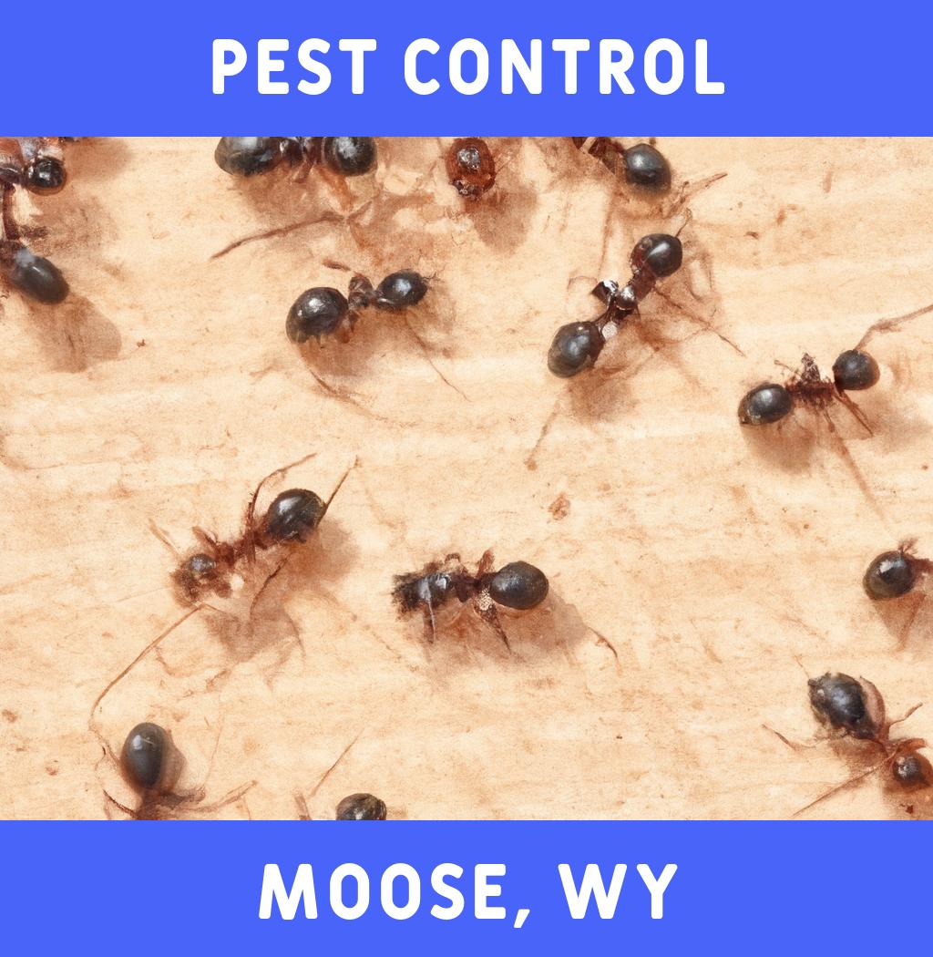 pest control in Moose Wyoming